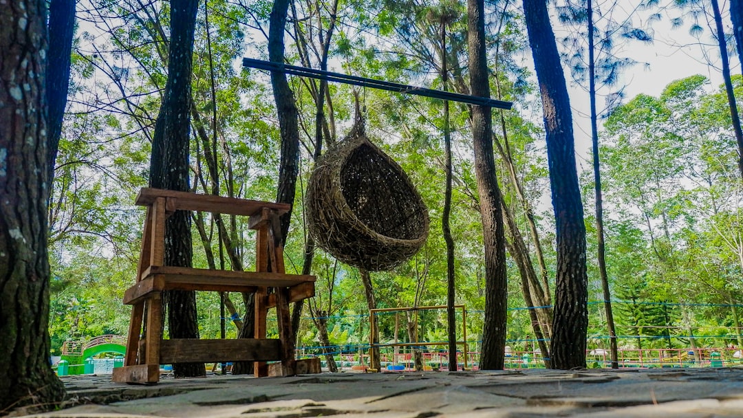 Rattan Revelations: Choosing Your Perfect Chair, Cushion, and Divider