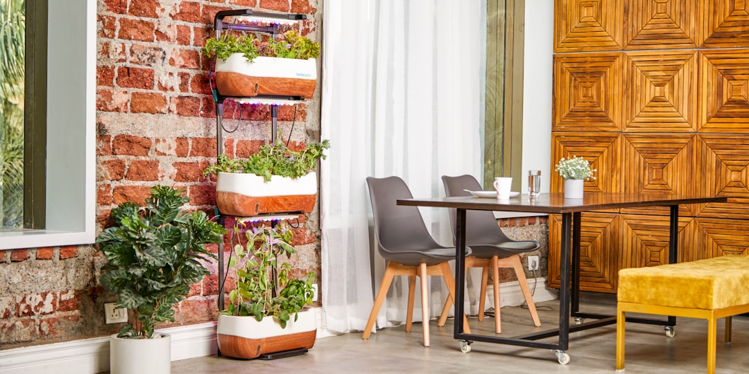 Green Dreams: Indoor Garden Furniture Ideas