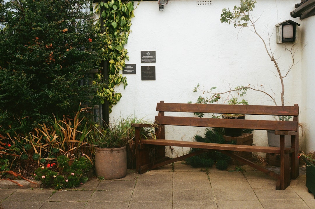 Beyond the Straight Line: A Guide to Outdoor Dining Bench Seats, Materials, and Styles