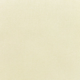Canvas Canvas fabric swatch