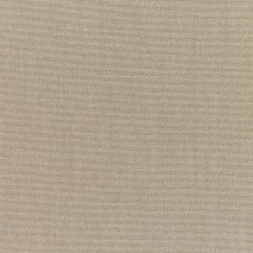 Canvas Taupe fabric swatch