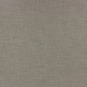 Ay Pace Fog fabric swatch