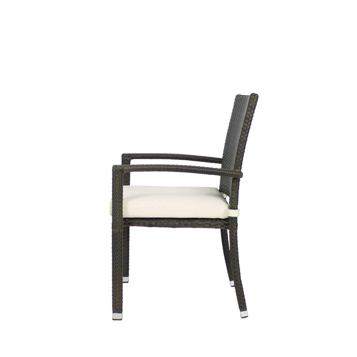 Source Furniture Zen Dining Arm Chair