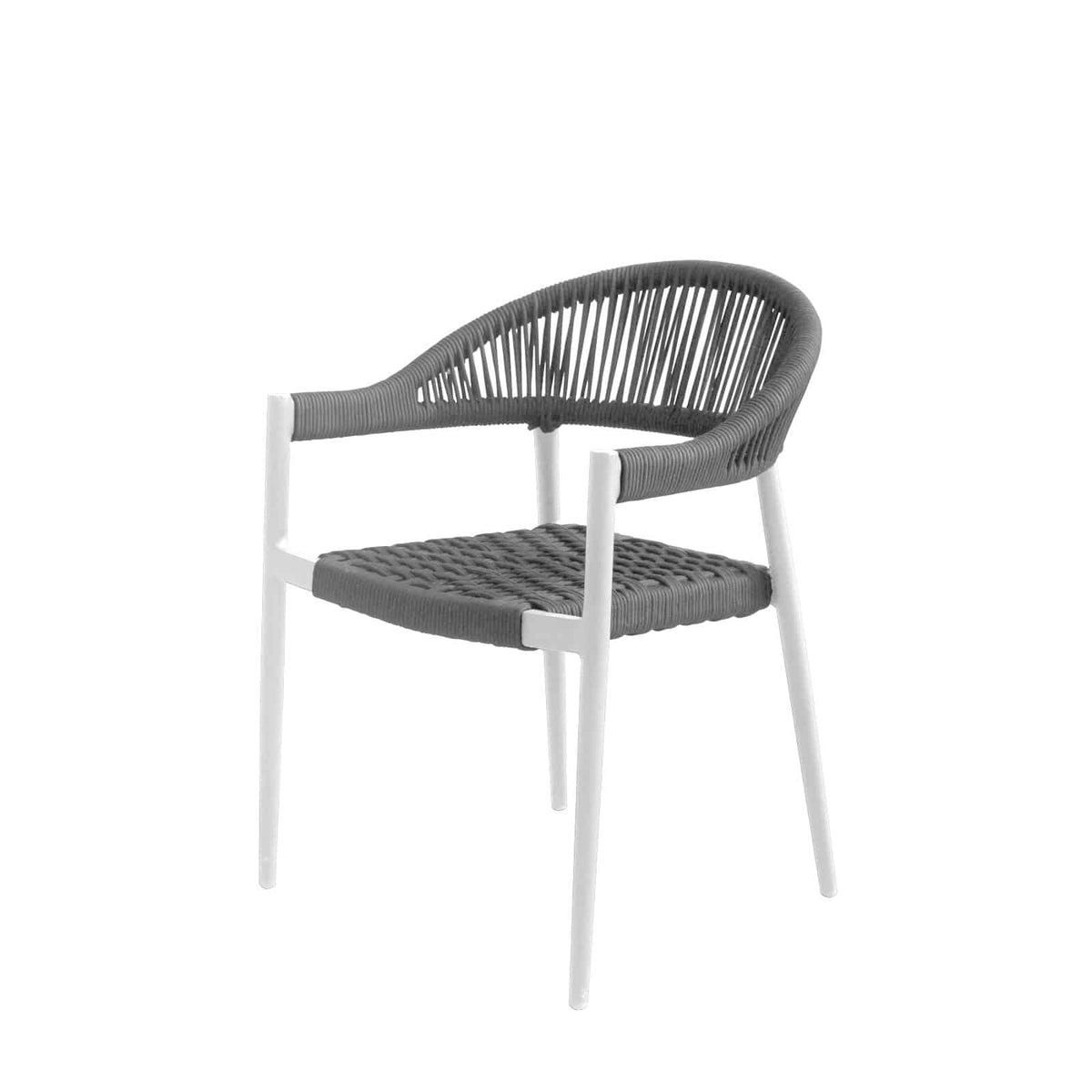 Source Furniture Source Furniture Skye Dining Arm Chair Dining Arm Chair - Rattan Imports
