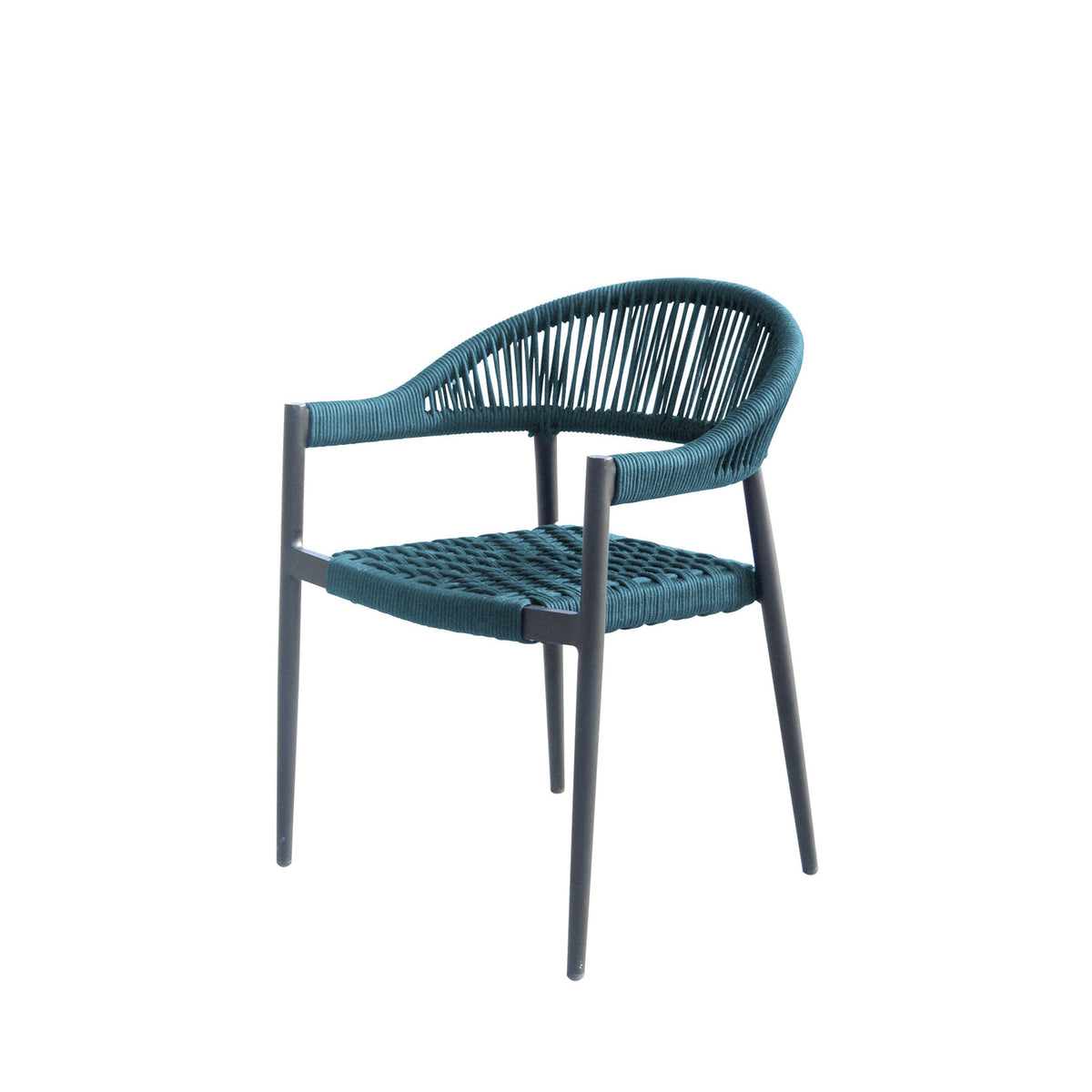 Source Furniture Source Furniture Skye Dining Arm Chair Dining Arm Chair - Rattan Imports